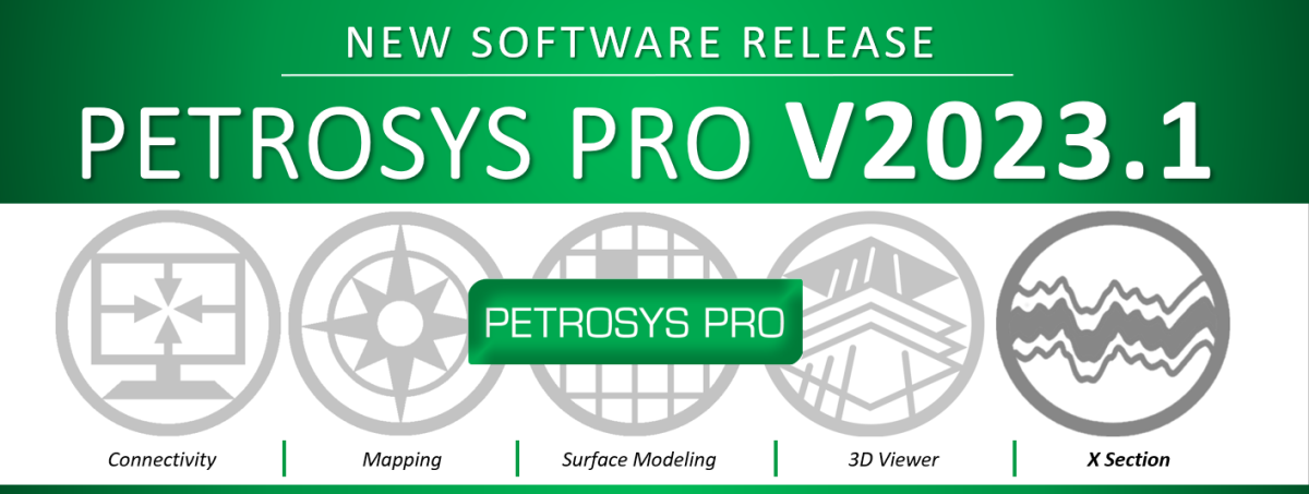 Petrosys PRO V2023.1