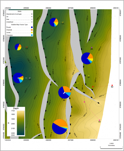 Bubble Map Petrosys PRO