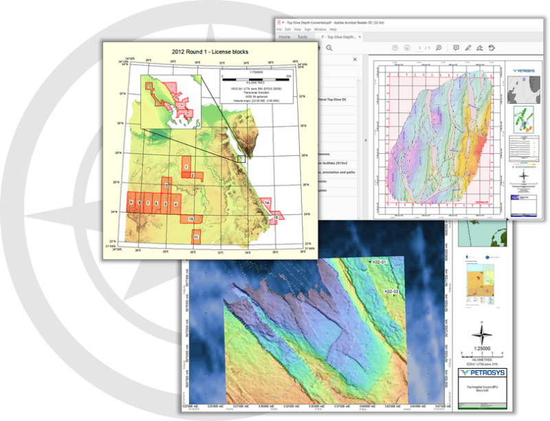 Petrosys PRO Mapping