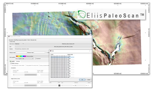 Petrosys PRO and Eliis Paleoscan