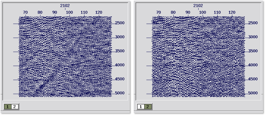 land seismic shot gathers zoomed